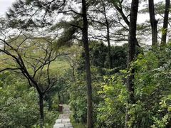 -水濂山森林公园