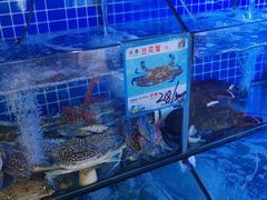 -Sasa的海(蜈支洲岛后海店)