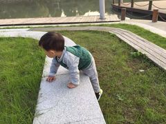 -中国湿地博物馆