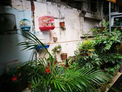 -阿一猪红汤(东风西路店)