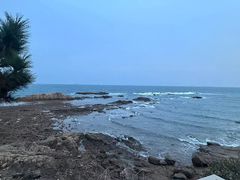 -青岛海滨风景区