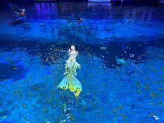 -华夏文旅海洋公园