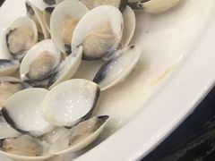 -蚝专家