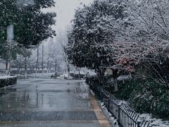 -南京国际青年文化中心