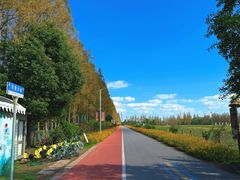 -上海长兴岛郊野公园