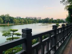 -渭滨公园