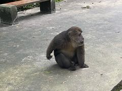 -西岭雪山大飞水景区