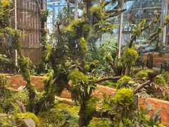 -国家植物园南园