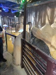 -酷嗒动物文化乐园(cutezoo西溪乐天城店)