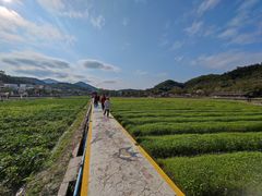 -红山村