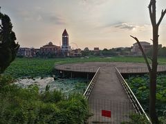 -日照海滨国家森林公园