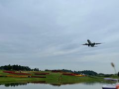 -空港花田景区