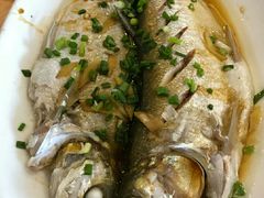 -小六农家乐(崇明西沙湿地店)