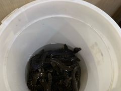 -荔城生鲜盛宴(番禺旗舰店)