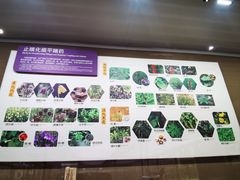 -北京中医药大学-中医药博物馆
