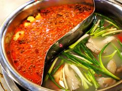 -朱氏胖子烂火锅(洪崖洞店)