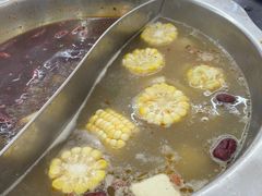 -金鼎雪山牦牛杂火锅(理县总店)