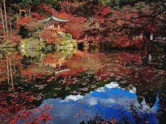 -醍醐寺