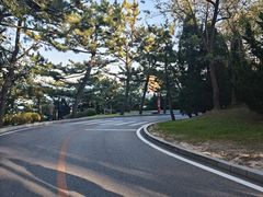 -棒棰岛宾馆景区