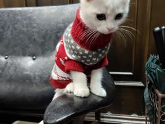 -常州花鸟园酒店(西太湖品牌优选店)