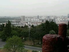 android_upload_pic-富乐山