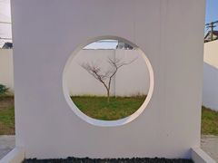 -东平国家森林公园