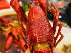 -新日月育才大酒店-中餐厅(环城北路店)