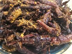 -瑞丽活螃蟹(芒市店)