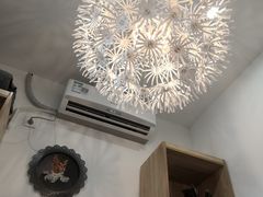 -滚猫咖啡·猫咖·猫友好撸猫(未来城店)