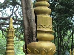 -瑞丽独树成林风景区