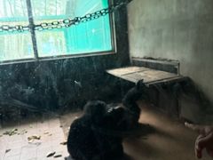 -秦皇岛野生动物园