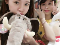 -PAWTOY爪e玩偶店(天兴罗斯福店)