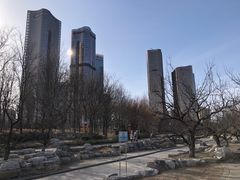 -大望京公园