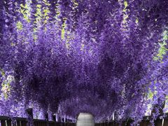 -沕沕水生态风景区