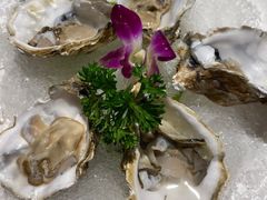 -董家湾重庆老火锅(嘉华店)