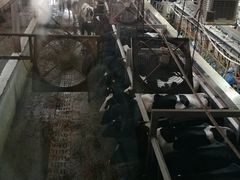 -光明牧业有限公司金山种奶牛场