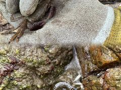 -嵊泗基湖沙滩