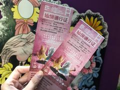 -爱丽丝冒险奇遇记