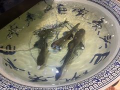 -南京金牛湖巨碗鱼头
