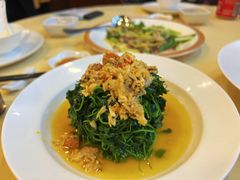 蟹粉豆苗-王宝和酒家(黄浦店)