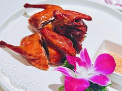 乳鸽-顺峰顺水顺德菜(第一百货店)