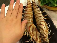 -鲜入围煮花胶鸡海鲜火锅