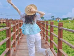 -中华茉莉园