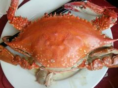 海蟹-老周记海鲜餐饮服务有限公司(旗舰店)