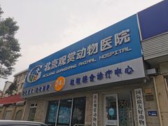 -北京观赏动物医院·24小时大型综合·猫专科·异宠专科