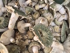 -双喜农庄·菌香园(安居家园店)