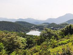 -大姆山草场