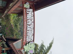 -野象谷景区