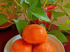 -后现代城