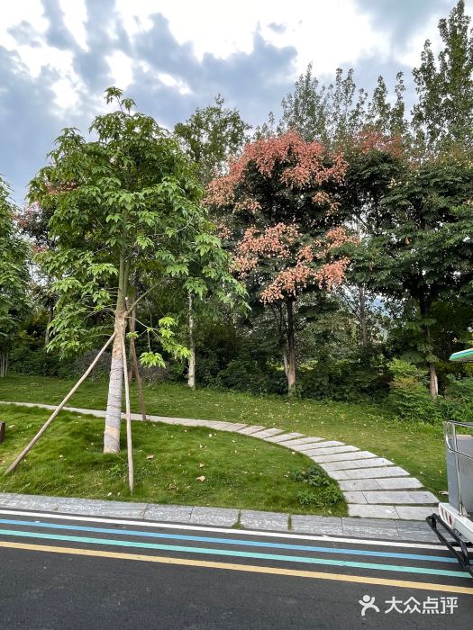 西昌邛海湿地图片